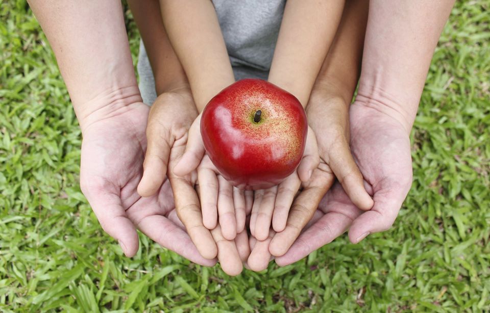 The Future Of Food Systems And Food Security