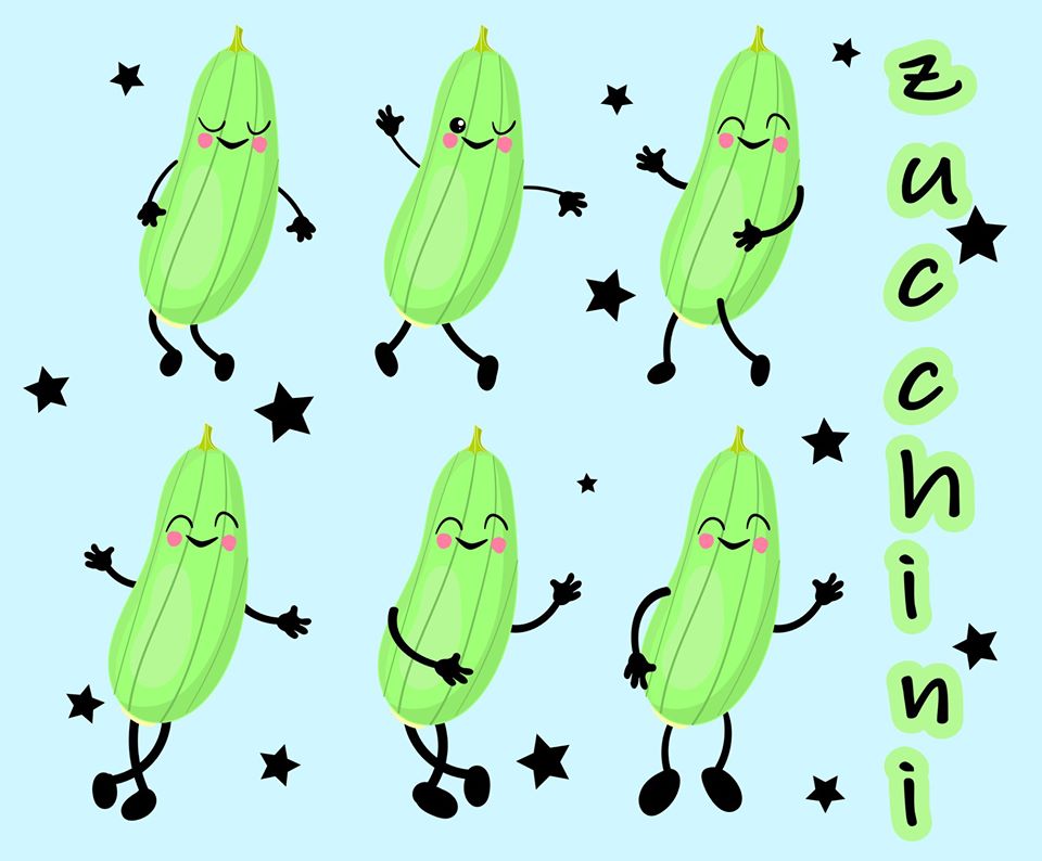 Zucchini Illustration