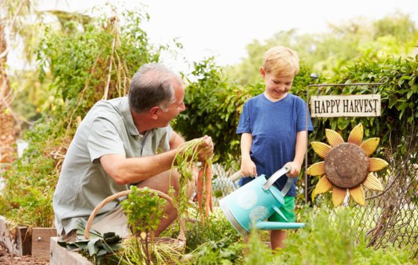 Home Kitchen Garden