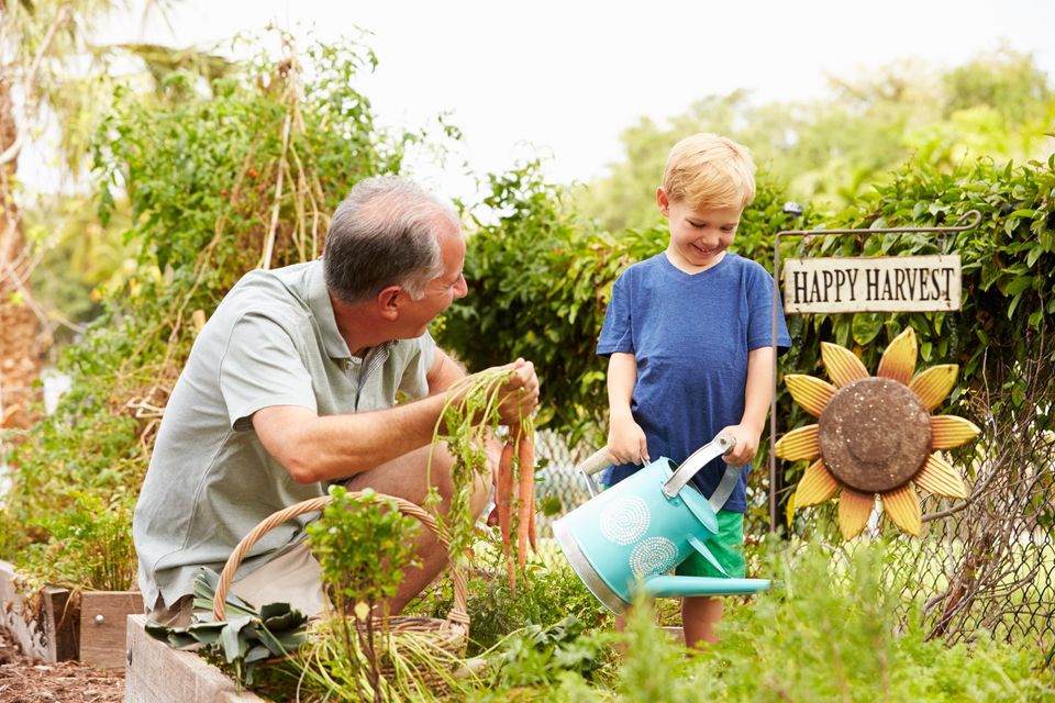 Home Kitchen Garden