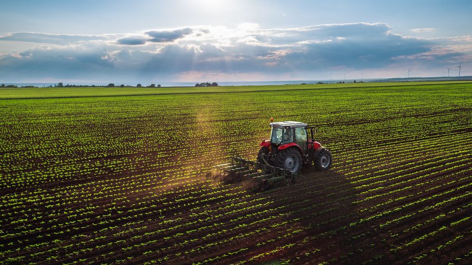 9 Ways To Grow Nourish And Sustain On World Food Day