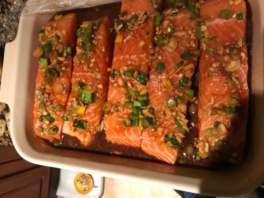 Salmon