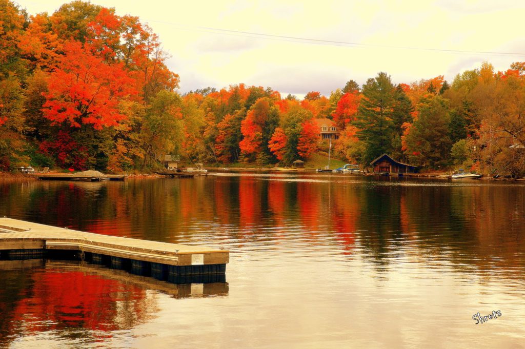 Experience Fall Foliage in Ontario’s Algonquin Park