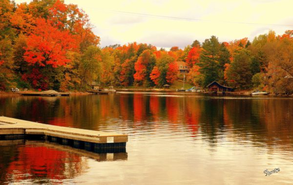 Experience Fall Foliage in Ontario’s Algonquin Park