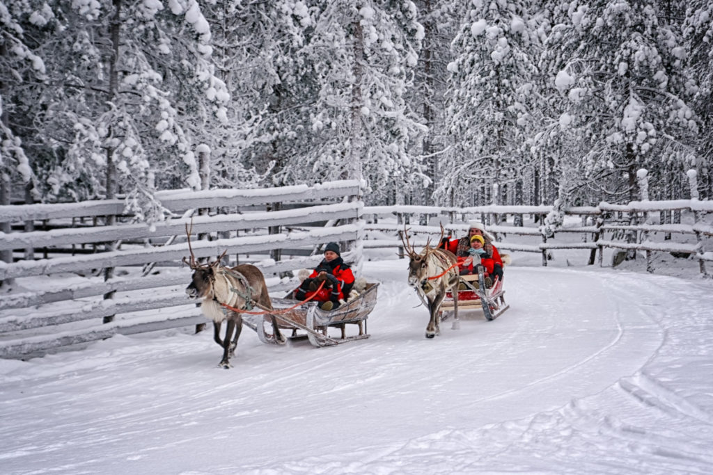 Reindeer ride Rovaniemi