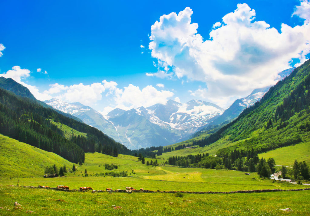 7 Places In Salzburg to Relive Your Favourite Sound of Music Moments