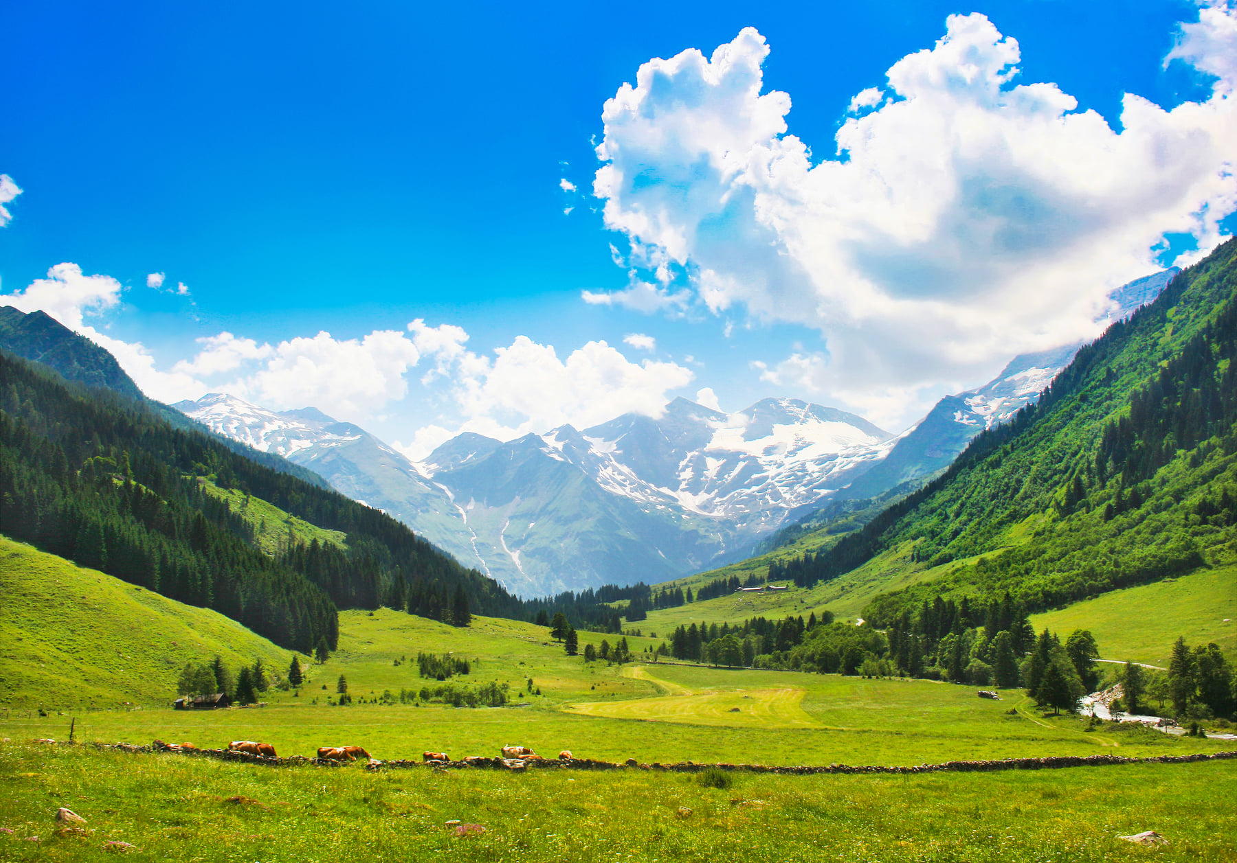 7 Places In Salzburg to Relive Your Favourite Sound of Music Moments