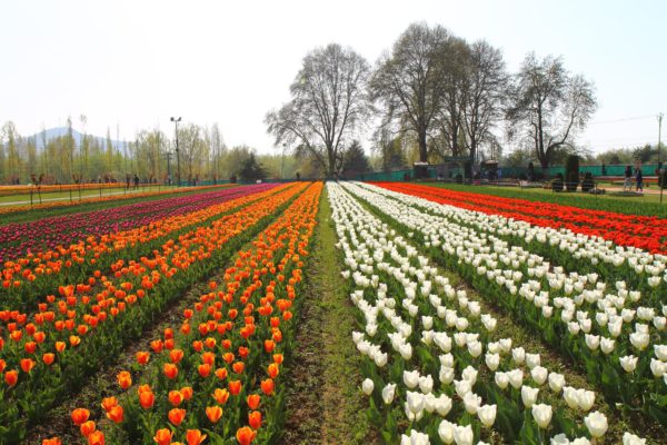 Mini Vacation Inspiration: 5 Best Places to Go in April