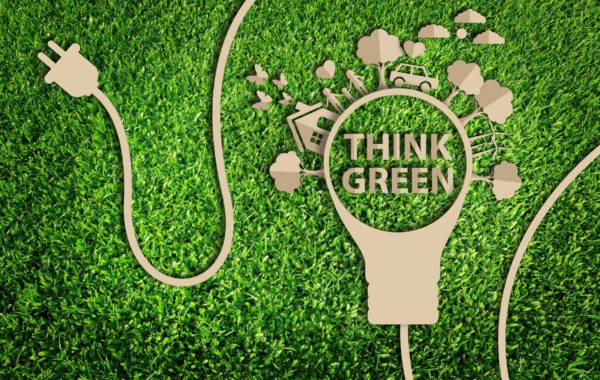 16 Tips On Going Green This Earth Day