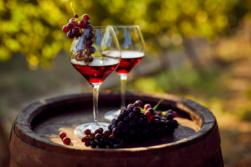 The Red Wine Enthusiast – Really!