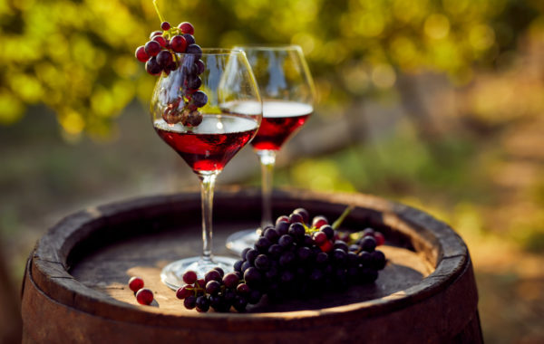 The Red Wine Enthusiast – Really!