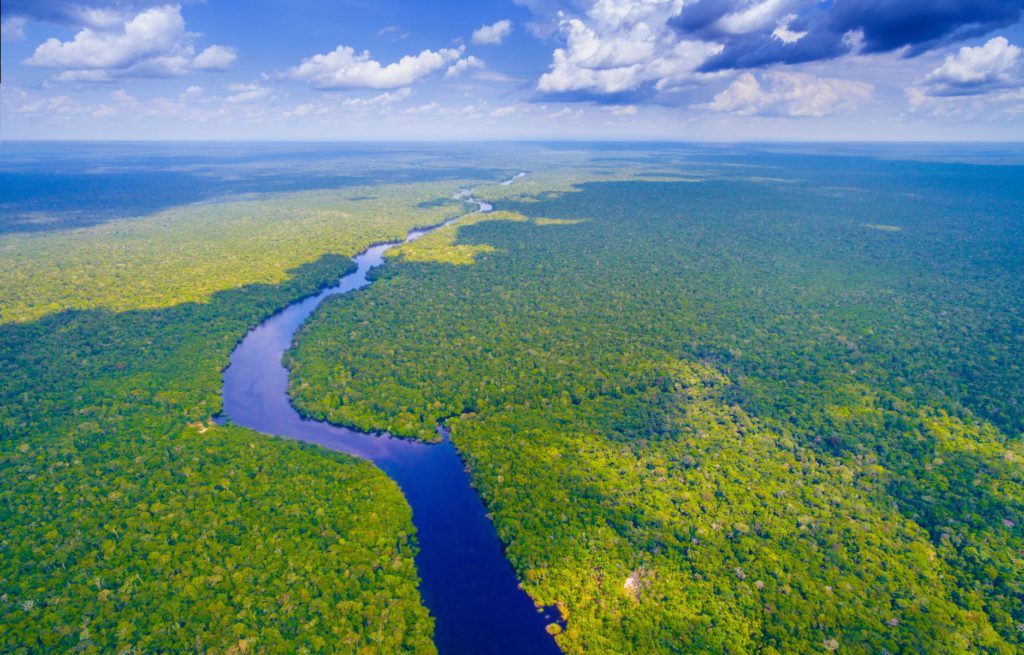 Amazon Rainforest