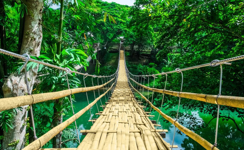 Bamboo pedestrian hanging bridge over river in tropical forest, Bohol, Philippines