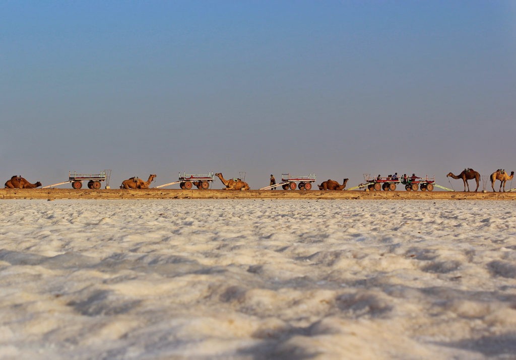 Rann Of Kutch