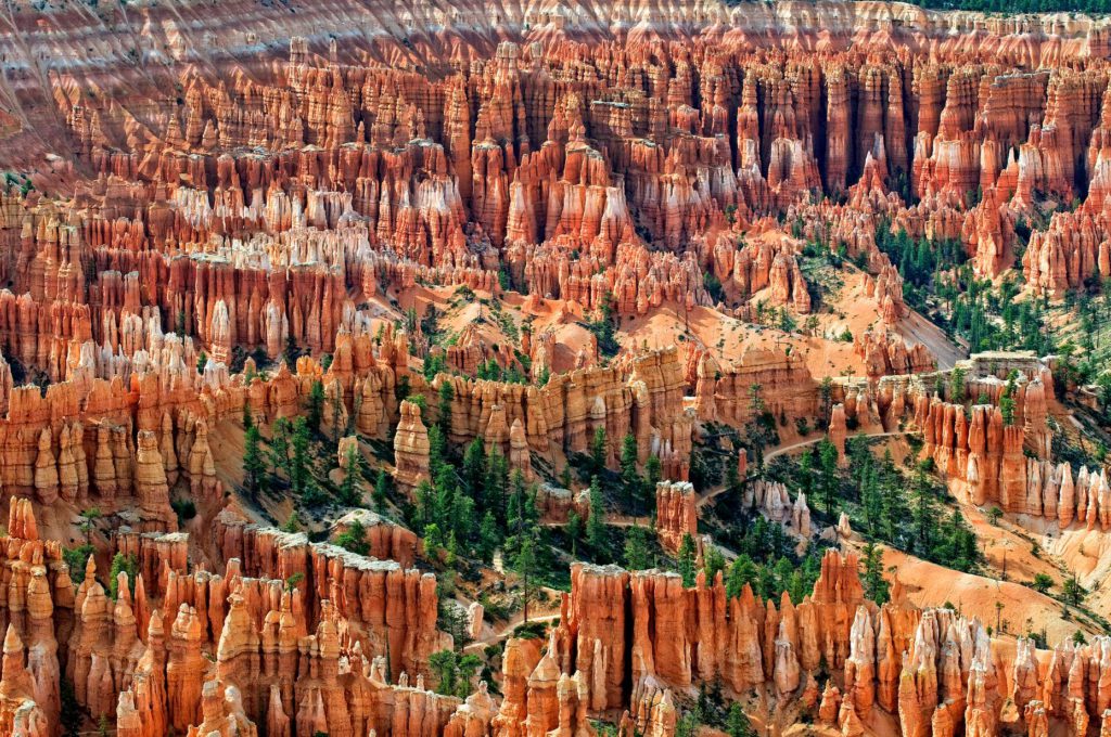 Amphitheater At Bryce Canyon National Park In Utah