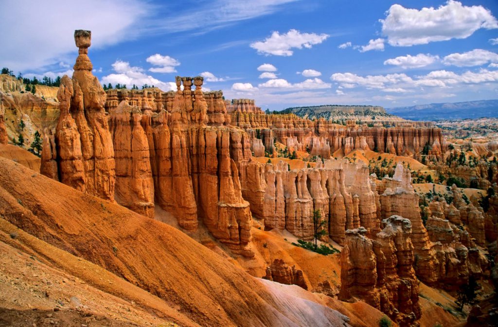 Bryce Canyon National Park hoodoos with the famous Thor's Hammer, Utah, USA