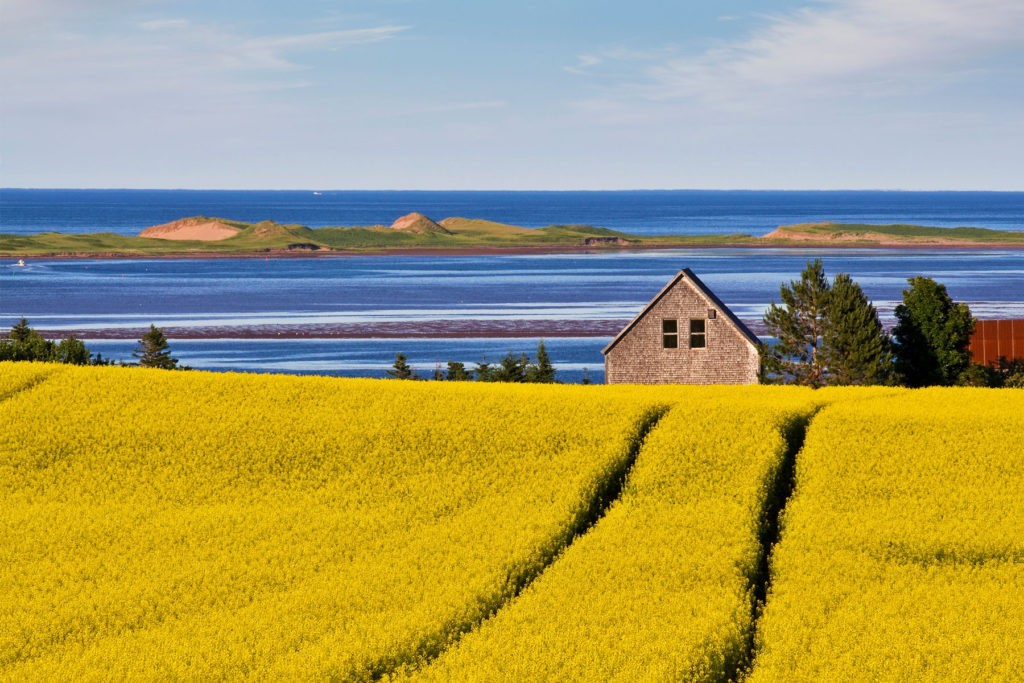 CREDIT: TOURISM PEI/PAUL BAGLOLE