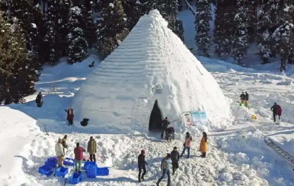 World's Largest Igloo Cafe Opens In Gulmarg, Kashmir
