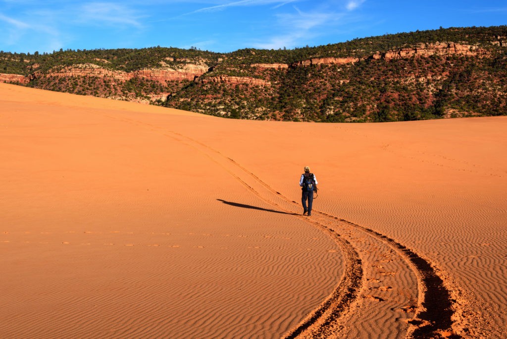 Coral Pink Sand Dunes State Park