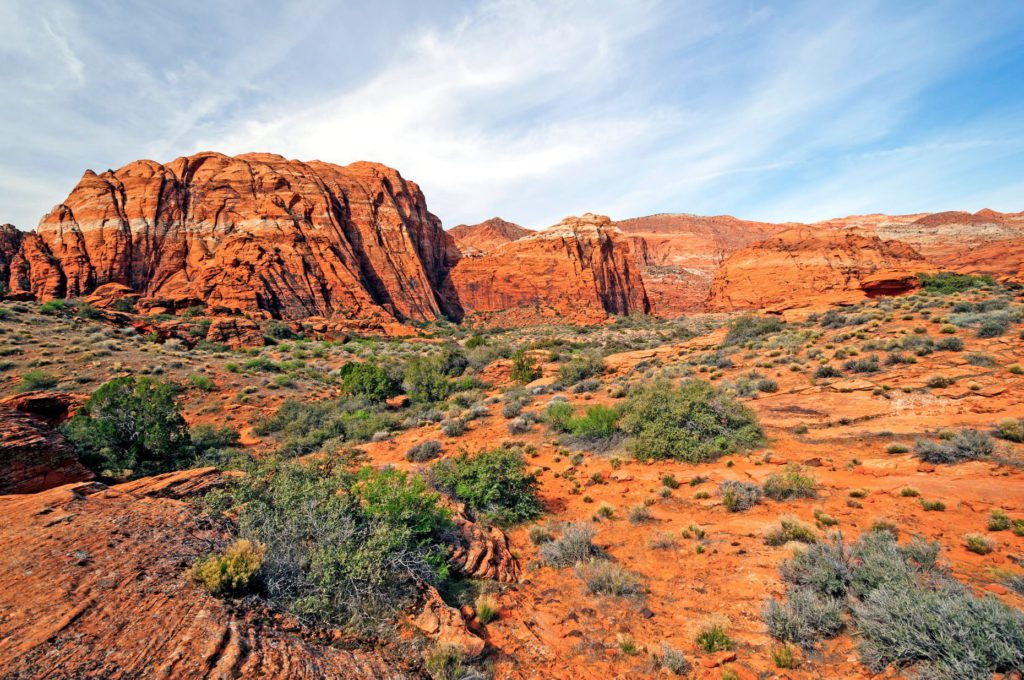 Red Rocks Panorama in the Three Lakes Trail in Snow Canyon State Park in Utah
