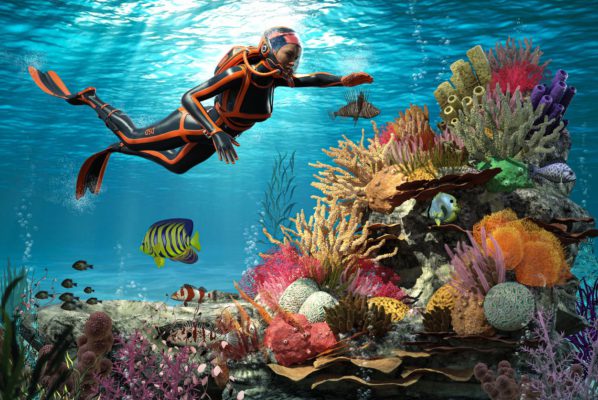 News at 9: 91% of reefs surveyed on Great Barrier Reef affected by coral bleaching, California's drought and more