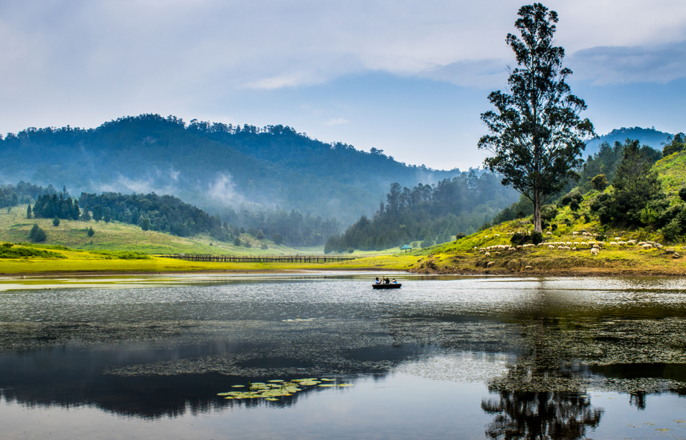 Kodaikanal,Lake,View