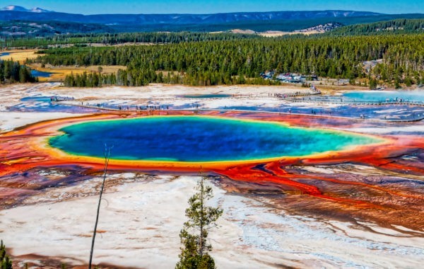 News at 9: All entrances to Yellowstone National Park temporarily closed, Geneva's new choco pass