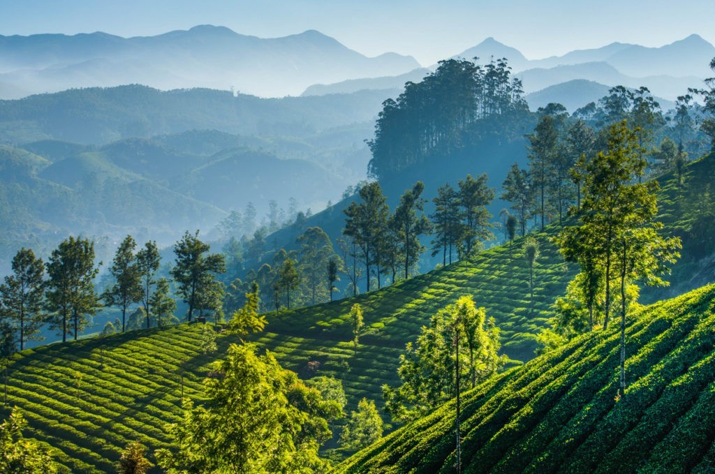 Munnar