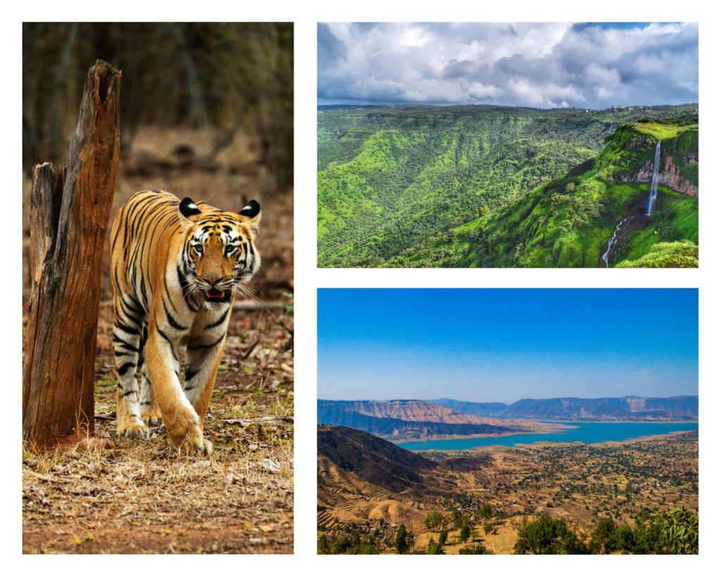 Winter, Maharashtra