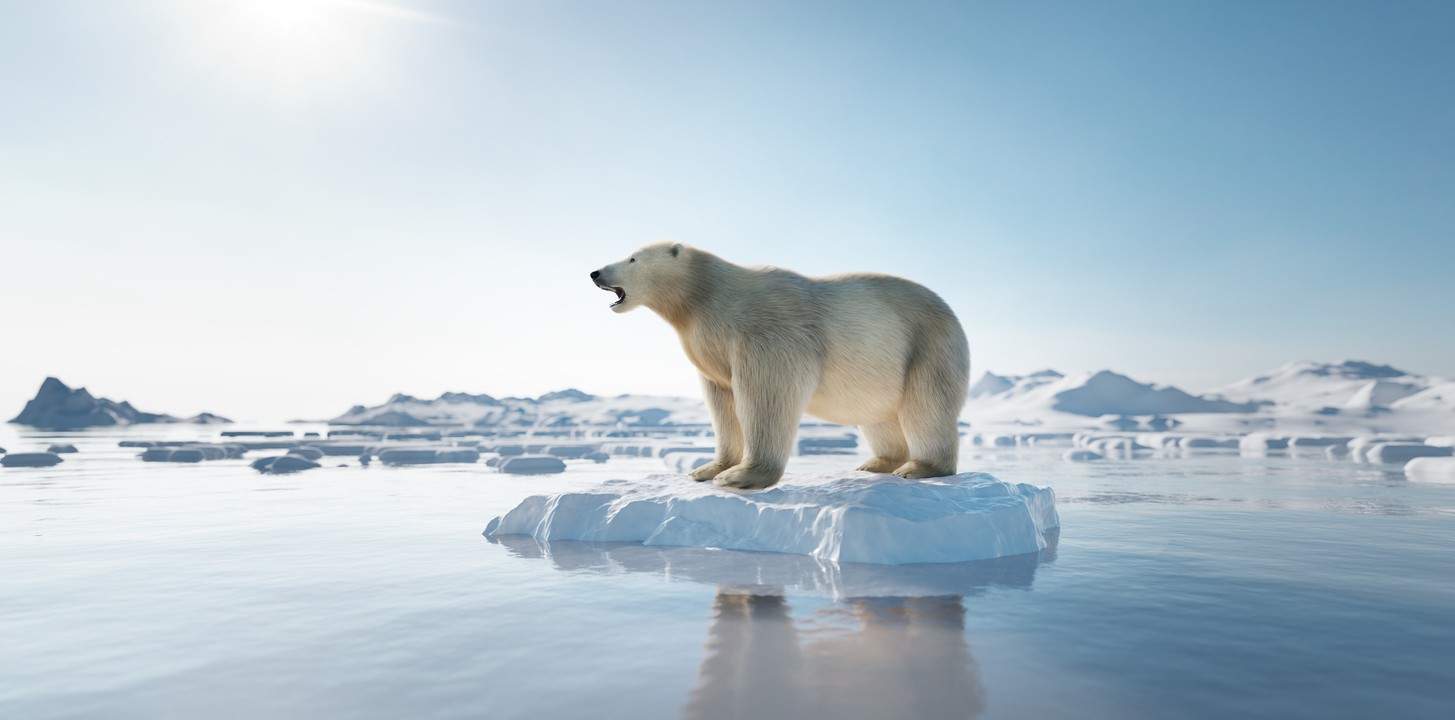 News at 9: Arctic is warming four times faster than the rest of the ...