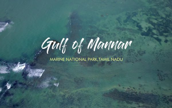 VIDEO: GULF OF MANNAR | TAMIL NADU TOURISM