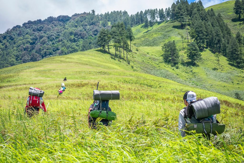 Emuli Grasslands