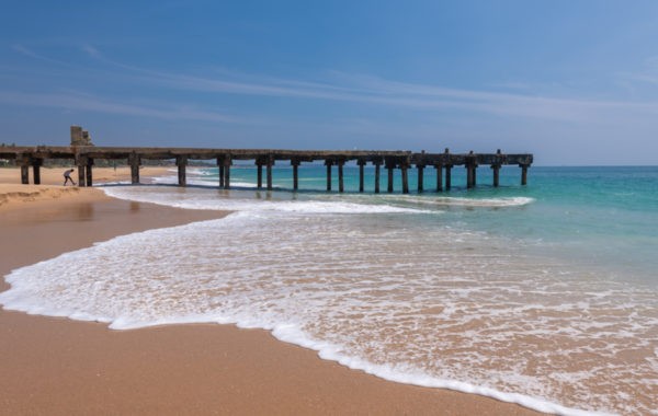 In Photos | 5 Must-Visit Beaches In Tamil Nadu For Your Next Vacation