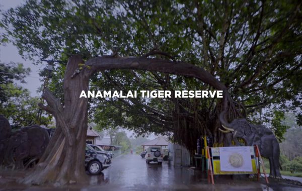 VIDEO: ANAMALAI TIGER RESERVE | TAMIL NADU TOURISM