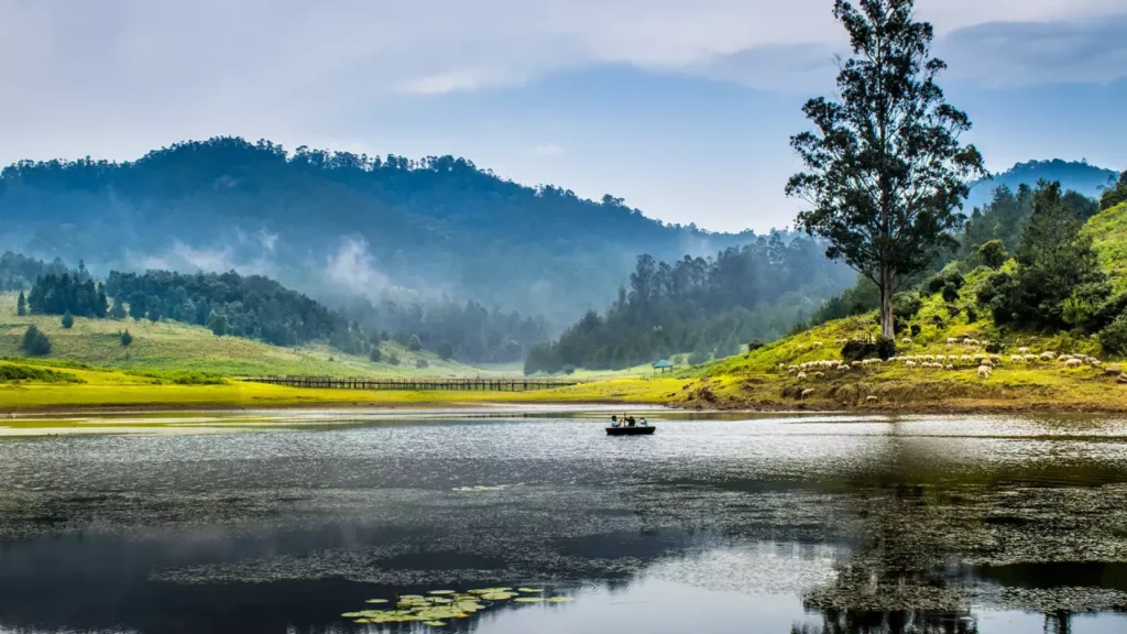 Photo: Tamil Nadu Tourism