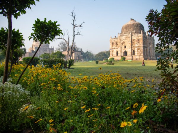 Spring In Delhi Delhi’s Own Annual Festival of Colours | Travel and Food Network