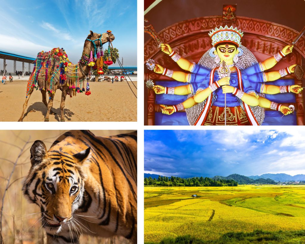 Clockwise from left to right: Pushkar, Kolkata Durga Puja, Ziro, Bandhavgarh National Park
