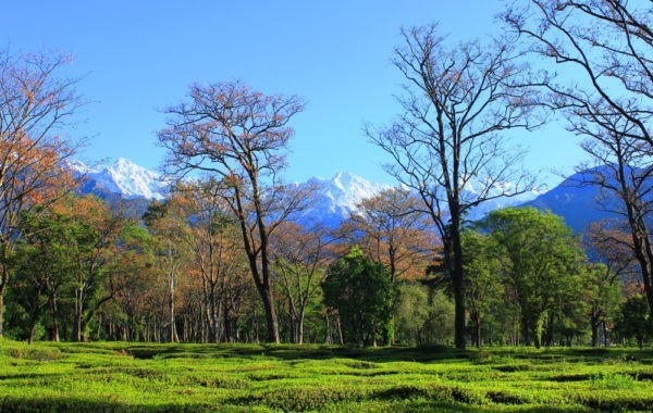 News at 9: Trekking banned in Kangra, Himachal Pradesh, Bundelkhand in Uttar Pradesh to become hub of wildlife tourism
