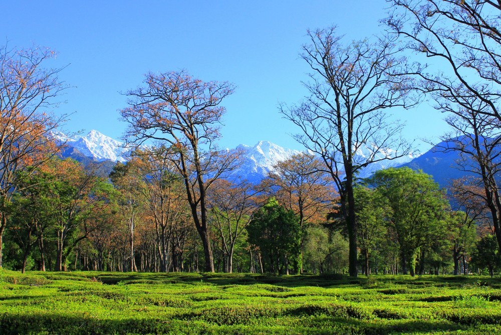 News at 9: Trekking banned in Kangra, Himachal Pradesh, Bundelkhand in Uttar Pradesh to become hub of wildlife tourism