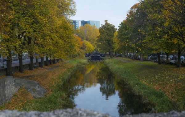 News at 9: Dublin is turning its canals into a cycling network, Japan has discovered 7,000 new islands and more