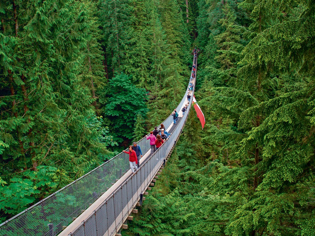 The Curious Charm of Vancouver