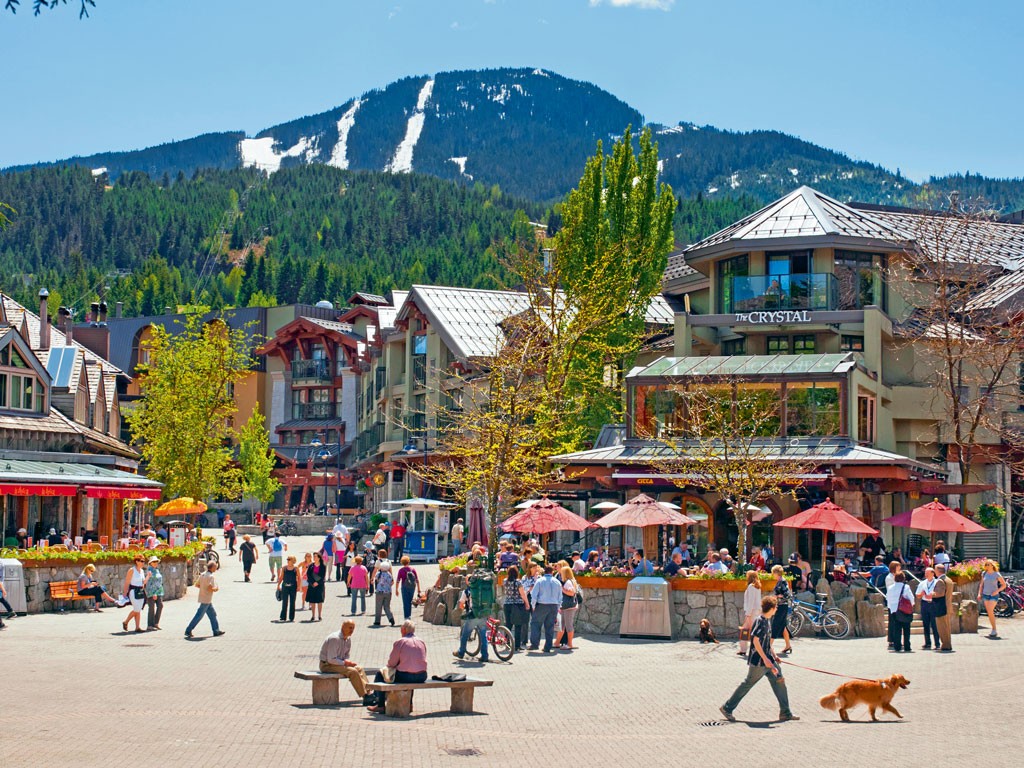 Revealing Bear Truths in Whistler, Canada