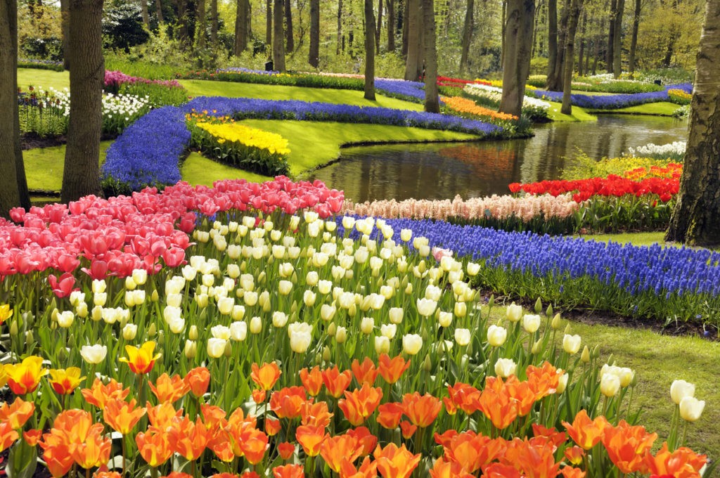 News at 9: The Netherlands’ biggest tulip garden is opening soon, Garvi Gujarat Tourist train flagged off from Delhi