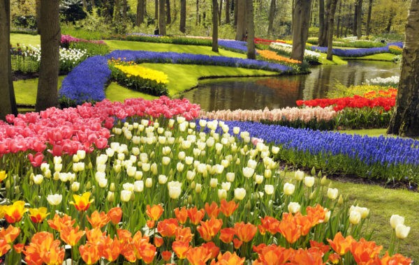News at 9: The Netherlands’ biggest tulip garden is opening soon, Garvi Gujarat Tourist train flagged off from Delhi