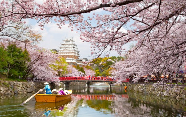 News at 9: Japan’s cherry blossom season is here, Ladakh to host Apricot blossom festival, Udaipur to host Mewar festival