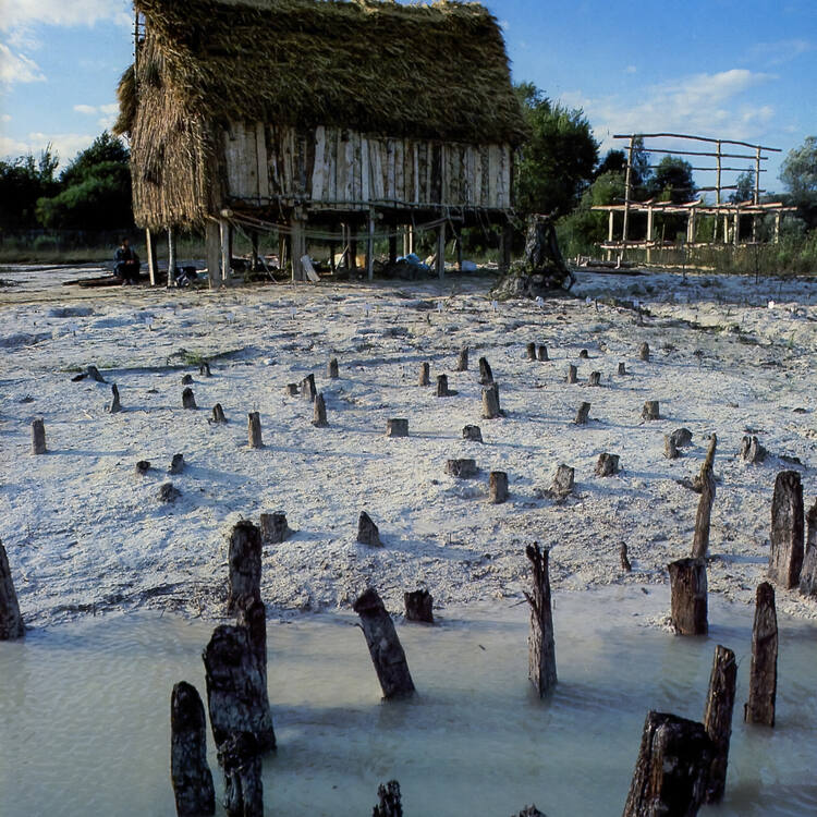 Original piles in Lac de Chalain