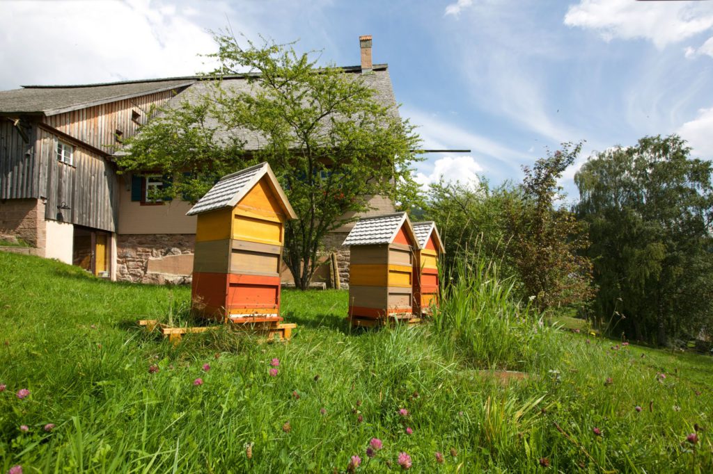 The Honey Trail | In Pursuit of Liquid Gold with Relais and Chateaux 