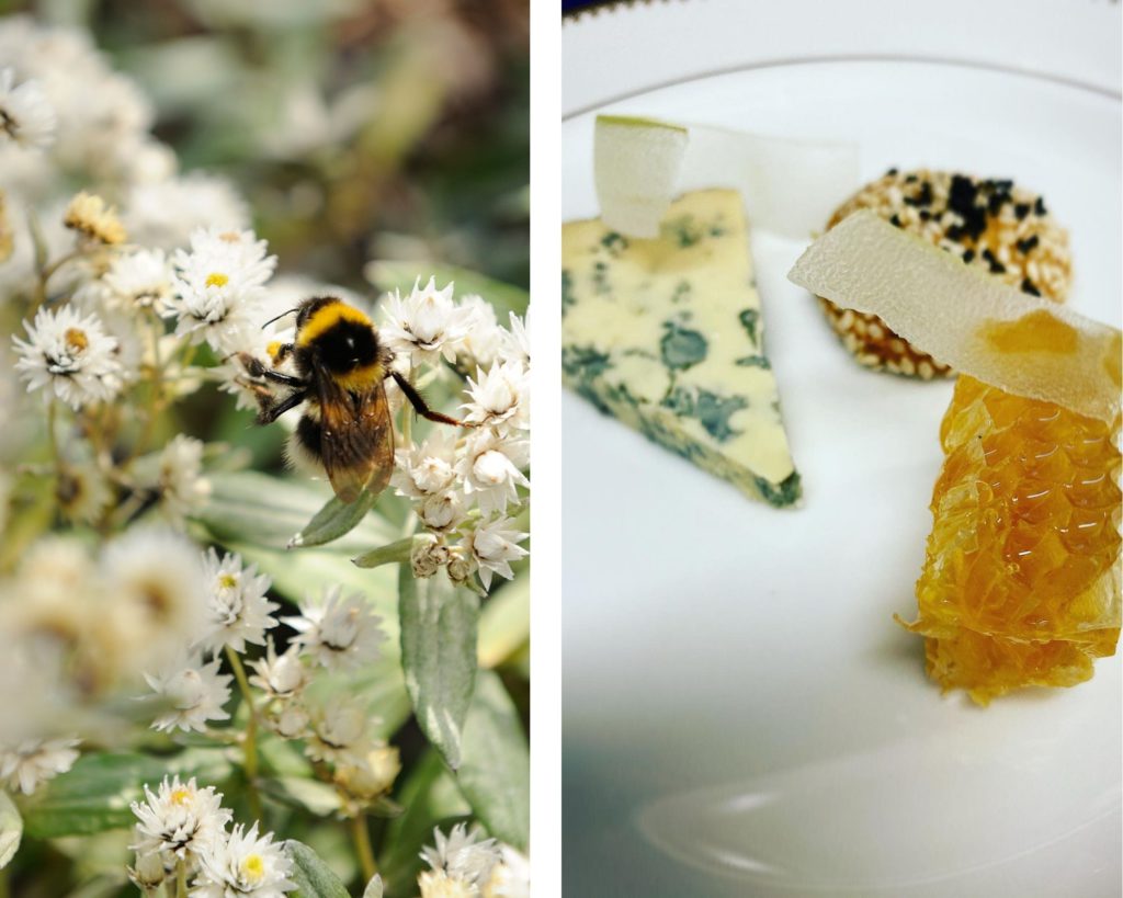 The Honey Trail | In Pursuit of Liquid Gold with Relais and Chateaux 