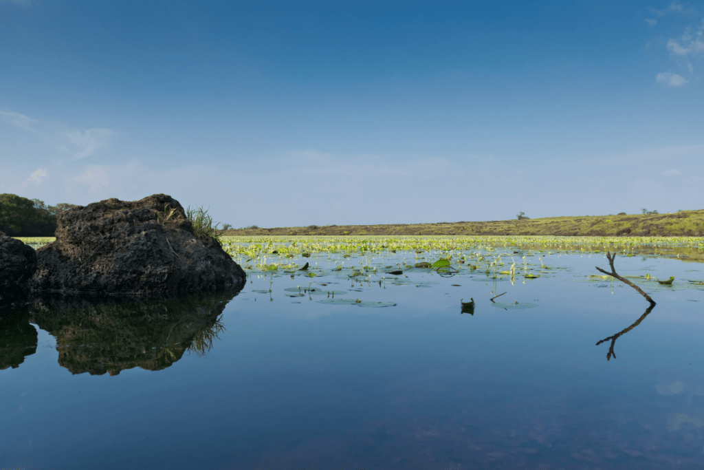 Kaas Lake