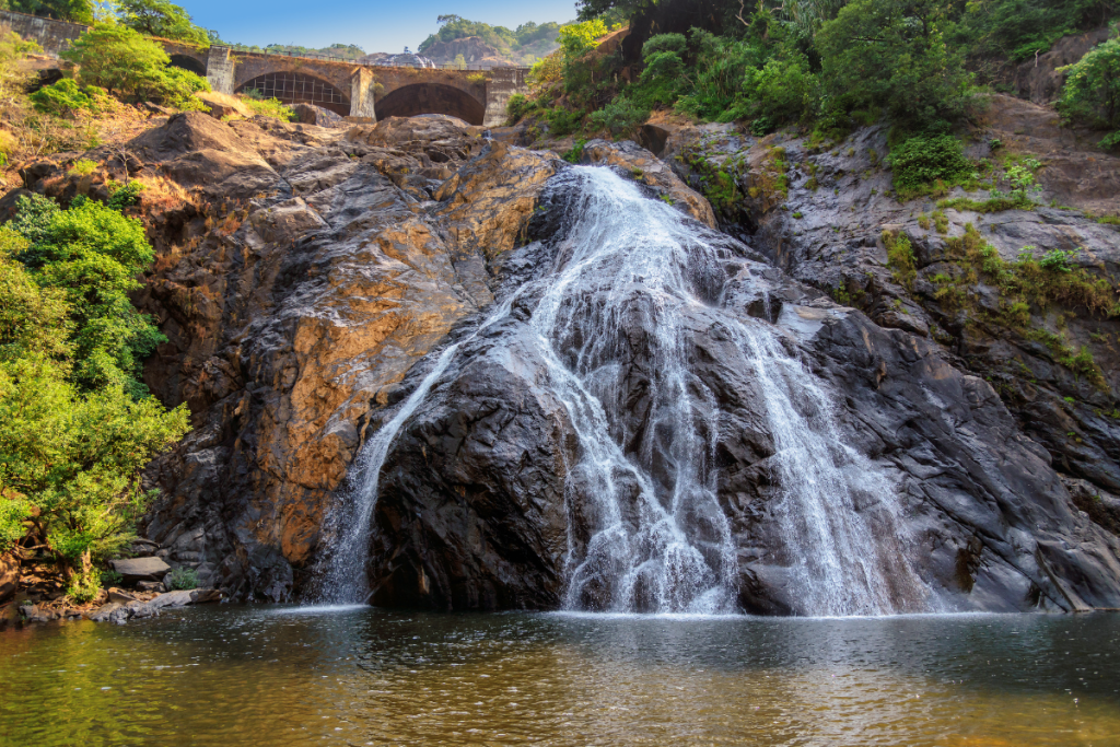 Goa Bans Entry To Waterfalls, Wildlife Sanctuaries To Ensure Safety Of Travellers